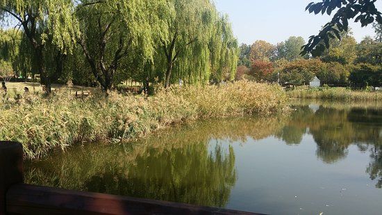 Yongsan Family Park